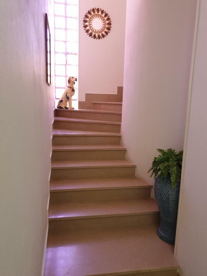 Guest House Tra Rocce E Mare 马达莱纳 外观 照片